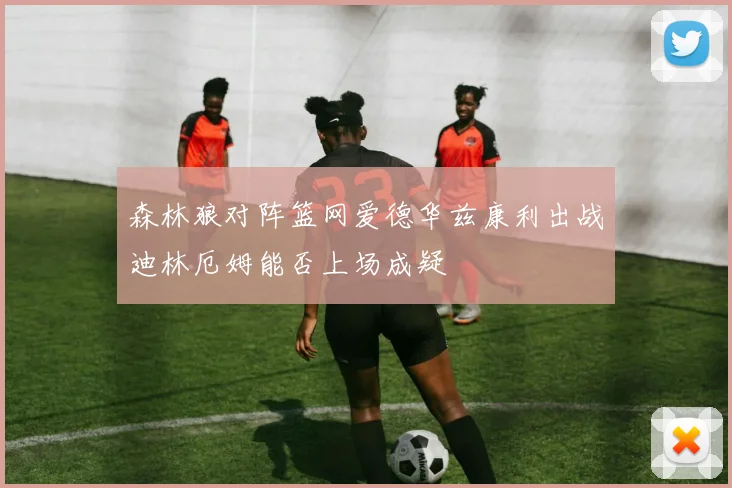 森林狼对阵篮网爱德华兹康利出战迪林厄姆能否上场成疑