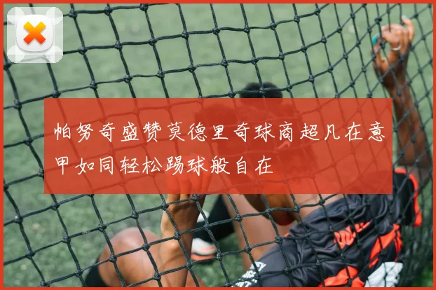 帕努奇盛赞莫德里奇球商超凡在意甲如同轻松踢球般自在